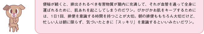 便秘が続くと、排出されるべき有害物質が腸内に充満して、それが血管を通って全身に運ばれるために、肌あれを起こしてしまうのだワン。ぴかぴかお肌をキープするためには、1日1回、排便を意識する時間を持つことが大切。朝の排便ももちろん大切だけど、忙しい人は朝に限らず、気づいたときに「スッキリ」を意識するといいみたいだワン。