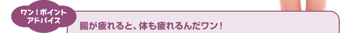ワン！ポイントアドバイス 腸が疲れると、体も疲れるんだワン！