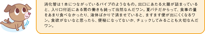 消化管は１本につながっているパイプのようなもの。出口にあたる大腸が詰まっていると、入り口付近にある胃の働きも鈍って当然なんだワン。夏バテだからって、食事の量をあまり食べなかったり、液体ばかりで済ませていると、ますます便が出にくくなるワン。食欲がないなと思ったら、便秘になってないか、チェックしてみることも大切なんだワン。