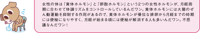 女性の体は「黄体ホルモン」と「卵胞ホルモン」という2つの女性ホルモンが、月経周期に合わせて体調リズムをコントロールしているんだワン。黄体ホルモンには大腸のぜん動運動を抑制する作用があるので、黄体ホルモンが優位な排卵から月経までの時期には便秘になりやすく、月経が始まる頃には便秘が解消する人も多いんだワン。不思議なんだワン！