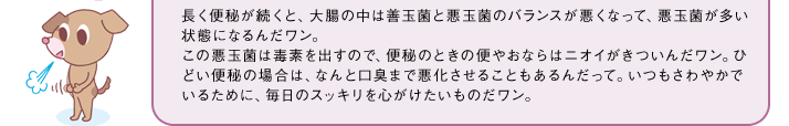長く便秘が続くと、大腸の中は善玉菌と悪玉菌のバランスが悪くなって、悪玉菌が多い状態になるんだワン。この悪玉菌は毒素を出すので、便秘のときの便やおならはニオイがきついんだワン。ひどい便秘の場合は、なんと口臭まで悪化させることもあるんだって。いつもさわやかでいるために、毎日のスッキリを心がけたいものだワン。