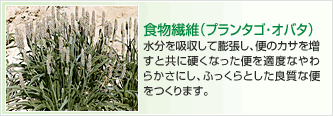 食物繊維（プランタゴ･オバタ）　水分を吸収して膨張し、便のカサを増すと共に硬くなった便を適度なやわらかさにし、ふっくらとした良質な便をつくります。