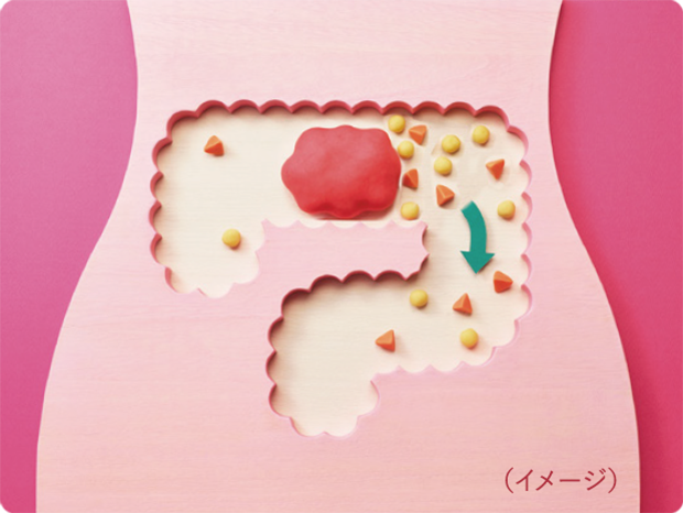 食物繊維がふくらんで押し出す力を助ける！
