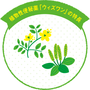 植物性便秘薬「ウィズワン」の特長