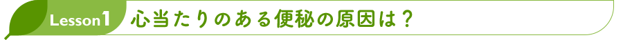 Lesson1 心当たりのある便秘の原因は？