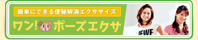 ワン！ポーズエクサ