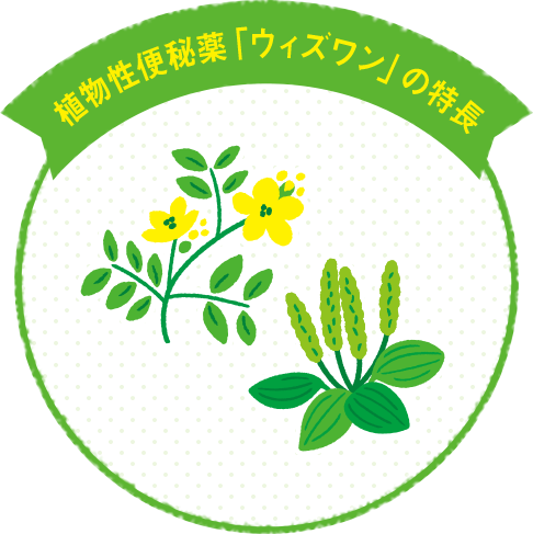 植物性便秘薬「ウィズワン」の特長