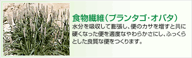 食物繊維（プランタゴ･オバタ）　水分を吸収して膨張し、便のカサを増すと共に硬くなった便を適度なやわらかさにし、ふっくらとした良質な便をつくります。