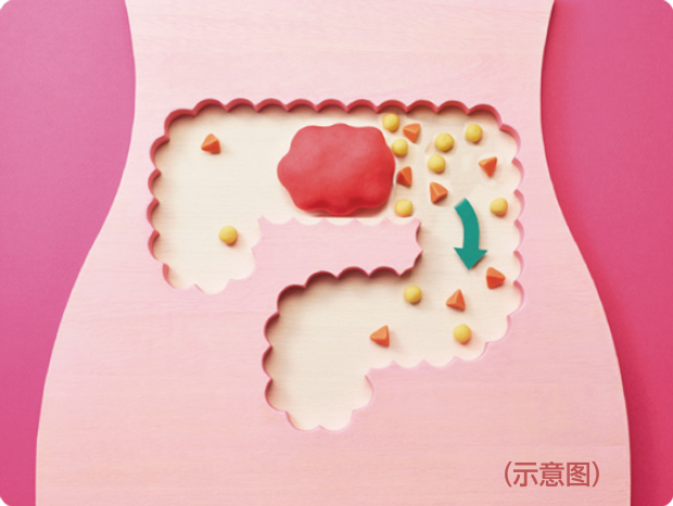 食物繊維がふくらんで押し出す力を助ける！